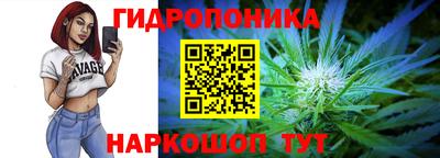 мяу мяу мука Кандалакша