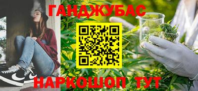 крисы Канаш
