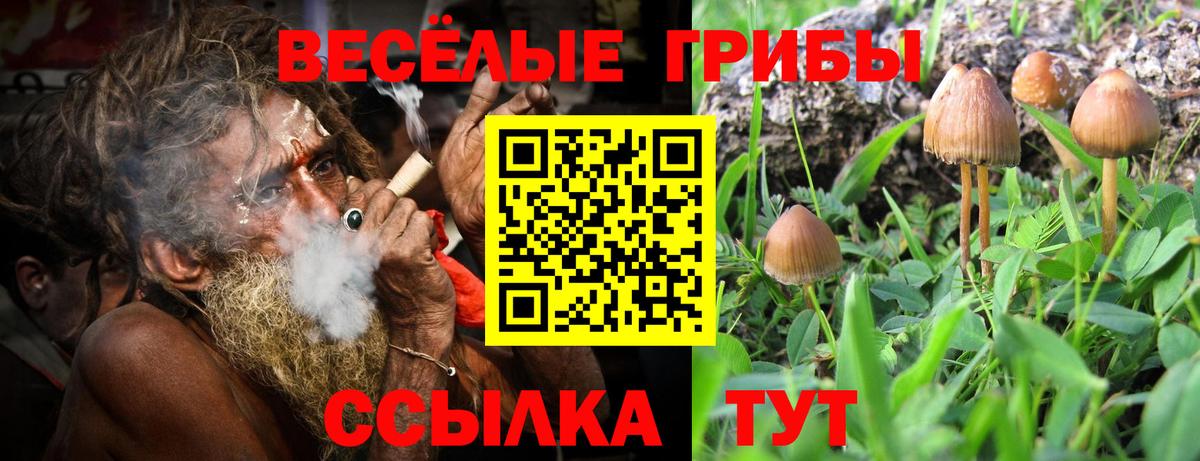 Феодосия  Псилоцибиновые грибы прущие грибы  Вход с VPN 