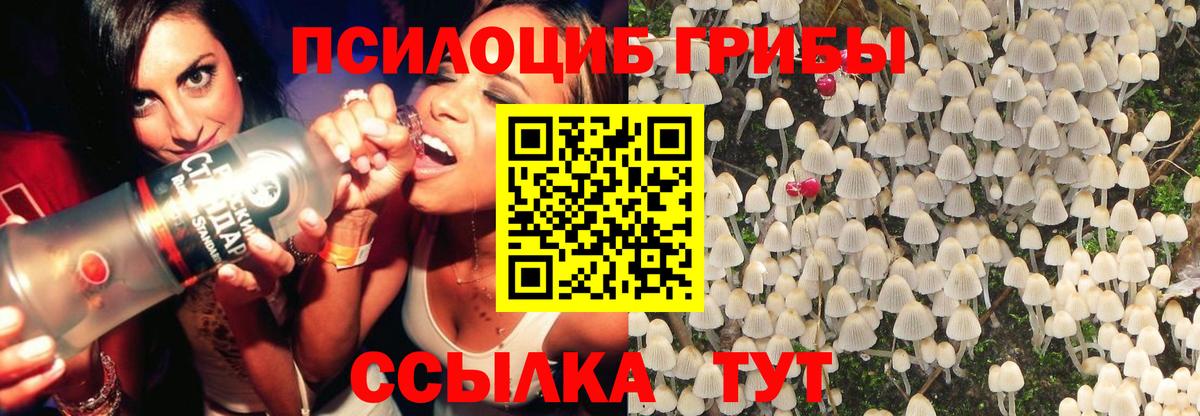 Псилоцибиновые грибы Psilocybine cubensis Феодосия